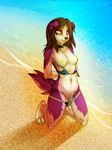  anthro arms_behind_back australian_shepherd beach bikini breasts brown_hair canine celeste_(artist) claws clothed clothing collar digitigrade dog dokuga female flashing fur green_tongue hair heterochromia hi_res hindpaw kneeling mammal multi_nipple nipples outside paws presenting purple_fur pussy sand sea seaside skimpy solo spots swimsuit tight_clothing tongue undressing water 
