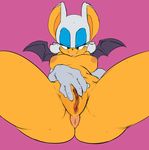  anthro anus areola bat big_breasts breasts brown_nipples brown_pussy erect_nipples female looking_at_viewer mammal nipples nude plump_labia pussy rouge_the_bat sega smile solo sonic_(series) sonicboom53 sr 