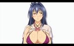  animated animated_gif blue_hair blush bouncing_breasts breasts huge_breasts maken-ki! measurements nijou_aki purple_eyes 
