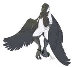  amber_eyes anthro avian beak beverage bird bottle bottomless chubby clothing crow digitigrade feather feathers grey_feathers grostenmeiers magpie male open_shirt plain_background prehensile_feet shirt solo talons vest white_background wide_hips wine wings 