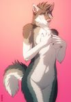  black_fur black_hair blue_eyes blush breasts canine covering covering_self dog female fur grey_fur hair husky kannos looking_away mammal nude pink_nose solo white_fur 