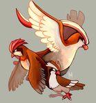 avian beak flying group nintendo pidgeot pidgeotto pidgey plain_background pok&#233;mon pok&eacute;mon spacesmilodon standing talons video_games wings 