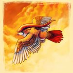  avian beak bird cloud feathers flying nintendo pidgeot pok&#233;mon pok&eacute;mon sky solo spacesmilodon talons video_games wings 