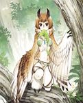  bird flower harpy jewelry looking_at_viewer md5_mismatch monster_girl mouth_hold outdoors owl short_hair tree ttk_(ehohmaki) 