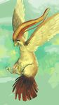  avian beak bird cloud cyphurus fluffy flying looking_down nintendo open_mouth pidgeot pok&#233;mon pok&eacute;mon sky solo talons video_games wings 