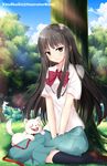  black_hair brown_eyes dog highres kaho_okashii kimi_ni_todoke kuronuma_sawako long_hair solo 