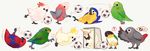  african_grey_parrot ball bird bird_request cockatoo era_(traveling_bird) galah goal kicking mouth_hold no_humans open_mouth original parrot soccer_ball sulphur-crested_cockatoo telstar whistle 