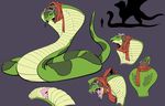  aviator_hat blue_eyes cloaca cobra fangs female feral flight_cap forked_tongue plain_background queblock reptile scalie scarf size_difference snake snake_hood solo tongue vent 