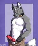  animal_genitalia anthro balls biceps canine canine_penis clothing collar erection flynx-flink folf fox gloves_(marking) hybrid knot looking_at_viewer male mammal markings muscles pants pants_down pecs penis pinup pose precum reynfolf solo standing toned topless unzipped whiskers wolf yellow_eyes 