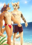  anthro beach biceps black_hair black_nose boxer brown_fur bulge canine clothing eyes_closed fangs fox fur gay green_eyes grin hair hand_holding male mammal mumu202 muscles nipples pecs pose sand sea seaside shorts smile speedo standing summer swimsuit tan_fur tattoo teeth toned topless water 