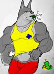  abs anthro biceps big_muscles canine clothing crocodile dog duo fur green_eyes grey_fur husky istani male mammal muscles pea pecs reptile scalie shirt shirt_lift shorts slit_pupils solo_focus summer tank_top tight_clothing whistle 