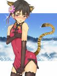 androgynous animal_ears blush china_dress chinese_clothes coin_rand dress dress_tug embarrassed flower highres male_focus original solo tail thighhighs tiger_ears tiger_tail 