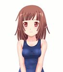  animated animated_gif bakemonogatari bouncing_breasts breasts brown_eyes brown_hair emofuri kakogawa_tarou md5_mismatch medium_breasts monogatari_(series) one-piece_swimsuit school_swimsuit sengoku_nadeko short_hair solo swimsuit ugoira 