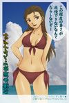  bernadette_egan bikini brown_eyes brown_hair day furea_(genjuu_no_mori) gensou_suikoden gensou_suikoden_v ocean side-tie_bikini smile solo swimsuit translation_request 