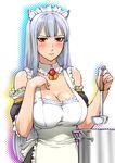  animal_ears apron bare_shoulders blush breasts cat_ears cleavage cooking food huge_breasts ladle long_hair pot red_eyes selvaria_bles senjou_no_valkyria senjou_no_valkyria_1 silver_hair solo soup sweatdrop ueyama_michirou 