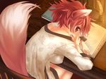  animal_tail dialy female fox_ears fox_tail hair human looking_at_viewer mammal okishiji_en red_eyes red_hair unknown_artist 