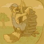  brown_theme clothing cloud gloves goldenfox grass hat hindpaw mammal overalls paws raccoon tire_swing tree young 