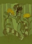  cacomistle clothing ear_piercing female flower forest goldenfox grass green_theme hair mammal piercing tree 