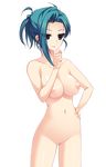  1girl areolae black_eyes breasts censored game_cg green_hair highres koi_mo_h_mo_obenkyou_mo_omakase!_oneechan-bu kumatora_tatsumi large_breasts legs looking_at_viewer nipples nude pussy simple_background smile solo standing thighs white_background 
