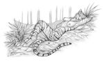  breasts feline female korrok lying mammal nude on_back outside sketch solo tiger 