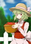  alternate_costume apron basket blue_sky bow carrying cloud cloudy_sky day dress fence food forest fruit green_hair hat hat_bow hat_ribbon highres holding kazami_yuuka nature p.a.w pinafore_dress plaid plaid_dress plaid_vest red_eyes ribbon short_hair sky solo straw_hat tomato touhou tree vegetable vest waist_apron 