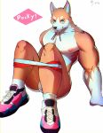  2018 absurd_res anthro biceps black_nose canine clothing dkqksms1004 fur hi_res male mammal multicolored_fur muscular nipples pecs solo 