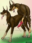  anal anal_penetration anatomically_correct canine cum dog doggystyle duo enjoying erection eyes_closed feral feral_on_feral from_behind gay klaus_doberman knot male mammal paw_job penetration penis sex 