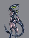  alien_(franchise) breasts female invalid_tag nipples pussy solo transformation xenomorph 
