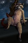  anatomically_correct animal_genitalia anthro balls brown_eyes emptyset guardians_of_the_galaxy gun male mammal marvel raccoon ranged_weapon rifle rocket rocket_raccoon semi_feral sheath solo space stars weapon 