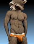  anthrofied bulge edit guardians_of_the_galaxy male mammal muscles oystercatcher7 photo_manipulation photomorph raccoon rocket_raccoon underwear 