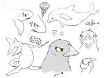  avian bird cetacean dolphin female feral fish jellyfish jetcrow mammal marine monochrome pussy sea_cucumber shark zevex 