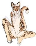  annoying_watermark breasts feline female leopard looking_at_viewer mammal maxxmissions nude plain_background pussy sitting small_breasts solo watermark white_background 