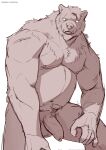 anthro balls bear beard belly better_version_at_source casual_nudity claws facial_hair fur fur_tuft genitals head_tuft hi_res male mammal muscular muscular_anthro muscular_male navel nipples nude pecs penis pubes scar sharp_claws sharp_teeth simple_background sinibun_95 sketch snout solo tail teeth tuft watermark were wereursid white_background white_eyes