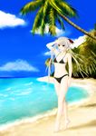  absurdres beach bikini fangs highres maou493 silver_hair small_breasts swimsuit twintails vampire wet 