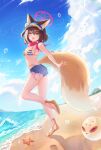  1girl absurdres animal_ear_fluff animal_ears ball bare_arms bare_shoulders beach beachball bikini blue_archive blue_bikini blue_shorts blue_sky blush breasts brown_footwear brown_hair cloud cloudy_sky colored_inner_animal_ears commentary_request denim denim_shorts double-parted_bangs eyeshadow fang fox_ears fox_girl fox_tail hair_between_eyes halo highres horizon izuna_(blue_archive) izuna_(swimsuit)_(blue_archive) looking_at_viewer makeup medium_breasts mountainous_horizon ocean official_alternate_costume one_side_up open_mouth outdoors pink_halo pink_scarf red_eyeshadow rope scarf shimenawa short_hair short_shorts shorts skin_fang sky smile solo standing standing_on_one_leg starfish string_bikini striped striped_bikini swimsuit tail visor_cap white_stripes xary yellow_eyes 