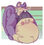 &lt;3 2023 anthro anthrofied belly big_belly biped blush chunknpunk64 clothed clothing clothing_lift ear_piercing ear_ring generation_1_pokemon hi_res navel nintendo nipples piercing pokemon pokemon_(species) purple_body rattata ring_piercing screencap shirt shirt_lift solo topwear