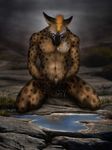  anthro balls eyes_closed glowing hair hi_res hyena jocarra male mammal muscles navel night on_floor outside pecs puddle sheath short_hair sitting solo water wet 