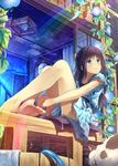  bare_legs barefoot black_hair blue_eyes cat cushion dress feet flower legs long_hair original plant rainbow sitting smile solo toes vines yasuno_(airy_light) 