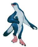 2021 absurd_res alpha_channel ambiguous_gender anthro avian avian-king beak biped bird blue_body blue_feathers claws countershade_arms countershade_face countershade_tail countershade_torso countershading feathers hi_res penguin simple_background solo tail transparent_background