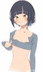  1girl :&gt; absurdres black_hair breasts closed_mouth clothes_lift commentary_request grey_shirt highres lifted_by_self long_sleeves looking_at_viewer navel original rasusurasu shirt shirt_lift short_hair sleeves_past_wrists small_breasts solo underboob yellow_eyes 