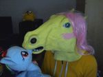  animated equine female fluttershy_(mlp) friendship_is_magic kawaii_fluttershy mammal my_little_pony plushie rainbow_dash_(mlp) what 