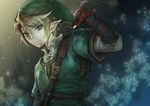  blonde_hair blue_eyes bug butterfly earrings gloves hat hoshino_chika insect jewelry link male_focus pointy_ears solo sword the_legend_of_zelda the_legend_of_zelda:_twilight_princess weapon 