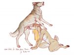 anthro bestiality blonde_hair brown_body canid canine canis deer duo fellatio female feral hair male male/female mammal oral penile proann sex wolf