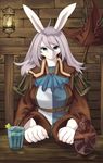  animal_ears bunny_ears burmecian female final_fantasy final_fantasy_ix flask freija_crescent freya_crescent glass hair lamp looking_at_viewer mammal mrsk rat robe rodent solo standing video_games white_hair 