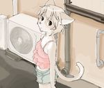  anthro blush brown_eyes brown_fur cat clothed clothing cub feline female flat_chested fur hair kikurage looking_at_viewer mammal outside pipes shirt short_hair shorts slim slit_pupils solo standing street tank_top wall white_fur young 
