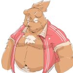2024 anthro bear belly big_belly brown_body brown_fur fur kemono male mammal moobs navel overweight overweight_male simple_background solo suishou0602 white_background