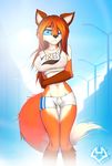  brown_nose canine clothed clothing female fluffy_tail fox fur hair looking_at_viewer macmegagerc mammal midriff one_eye_closed orange_fur orange_hair pasties skimpy solo tan_fur translucent transparent_clothing 