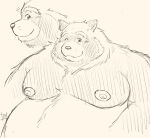 2024 anthro belly big_belly canid canine hi_res kemono male mammal moobs nipples one_eye_closed overweight overweight_male pochizizi raccoon_dog simple_background solo tanuki wink