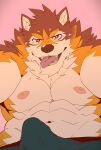 &lt;3 &lt;3_eyes abs absurd_res anthro aroused barrel_(live_a_hero) bedroom_eyes brown_body brown_fur canid canine canis clothed clothing erection erection_under_clothing fur heylaw21 hi_res lifewonders live_a_hero looking_at_viewer male mammal muscular muscular_anthro narrowed_eyes navel nipples pecs seductive shirtless solo tongue underwear wolf