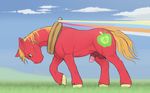  all_fours arareroll balls barefoot big_macintosh_(mlp) cutie_mark equine feral flaccid freckles friendship_is_magic fur hair hi_res hooves horse looking_down male mammal muscles my_little_pony outside penis penis_tip sheath solo standing work 
